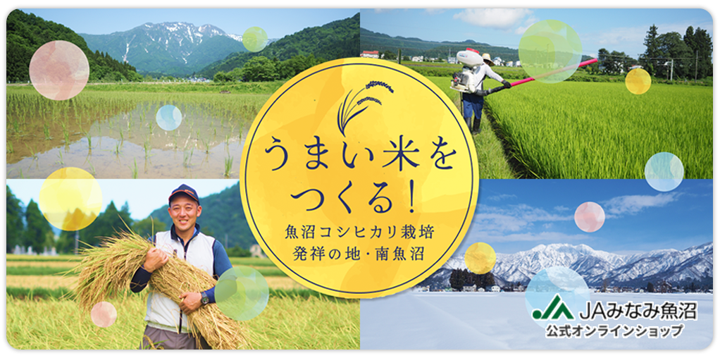 オンラインショップバナー